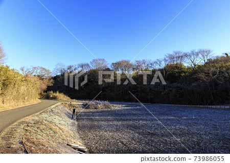 神奈川縣橫濱市戶塚區原始風景的舞岡公園的稻田（冬季版） 73986055