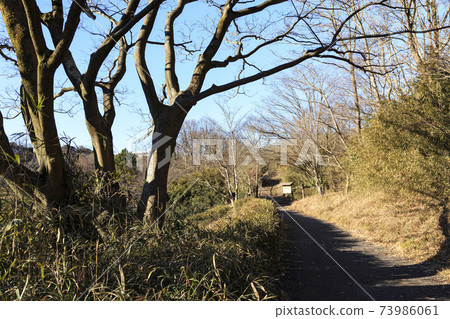 神奈川縣橫濱市戶塚區原始風景的舞岡公園的稻田(冬季版) 神奈川縣橫濱市戶塚區原始風景的舞岡公園的稻田(冬季版) 73986061