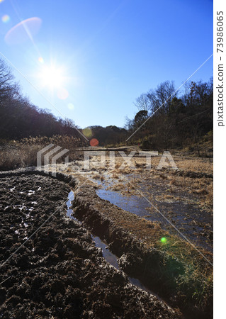 神奈川縣橫濱市戶塚區原始風景的舞岡公園的稻田(冬季版) 神奈川縣橫濱市戶塚區原始風景的舞岡公園的稻田(冬季版) 73986065