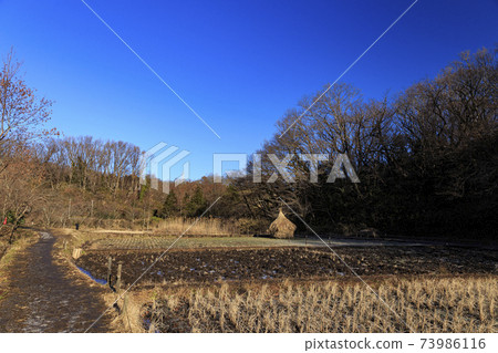 Rice fields in Maioka Park in the original scenery of Totsuka Ward, Yokohama City, Kanagawa Prefecture (winter edition) Rice fields in Maioka Park in the original scenery of Totsuka Ward, Yokohama City, Kanagawa Prefecture (winter edition) 73986116