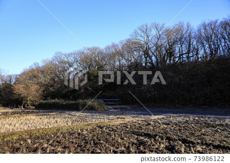 神奈川縣橫濱市戶塚區原始風景的舞岡公園的稻田（冬季版） 73986122