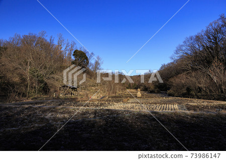 Rice fields in Maioka Park in the original scenery of Totsuka Ward, Yokohama City, Kanagawa Prefecture (winter edition) Rice fields in Maioka Park in the original scenery of Totsuka Ward, Yokohama City, Kanagawa Prefecture (winter edition) 73986147