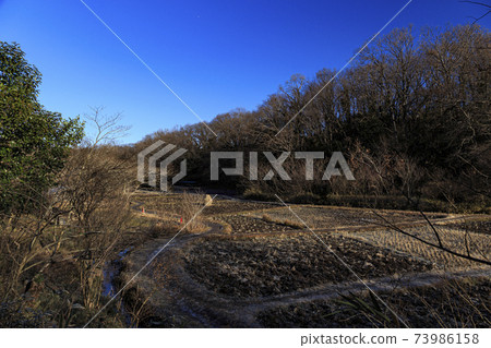 神奈川縣橫濱市戶塚區原始風景的舞岡公園的稻田(冬季版) 神奈川縣橫濱市戶塚區原始風景的舞岡公園的稻田(冬季版) 73986158