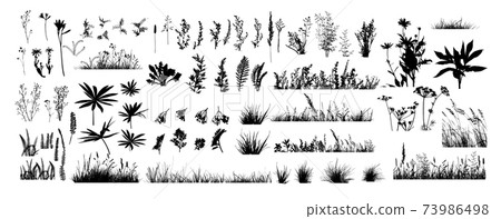 The silhouette of the grass set. Vector illustration The silhouette of the grass set. Vector illustration 73986498