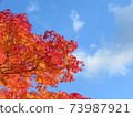 Autumn Koyasan autumn leaves 73987921
