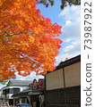 Autumn Koyasan autumn leaves 73987922