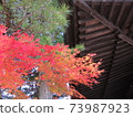 Autumn Koyasan autumn leaves 73987923
