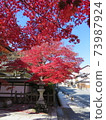 Autumn Koyasan autumn leaves 73987924
