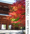 Autumn Koyasan autumn leaves 73987925