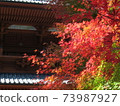 Autumn Koyasan autumn leaves 73987927