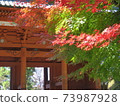 Autumn Koyasan autumn leaves 73987928