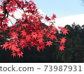 Autumn Koyasan autumn leaves 73987931