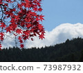 Autumn Koyasan autumn leaves 73987932