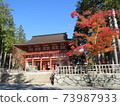 Autumn Koyasan autumn leaves 73987933