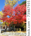 Autumn Koyasan autumn leaves 73987935