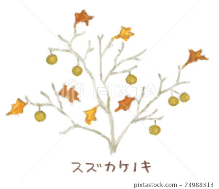 Drawing illustration of winter roadside tree, Platanus orientalis Drawing illustration of winter roadside tree, Platanus orientalis 73988313