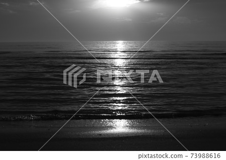 Beautiful shallow, quiet sea with nobody Monochrome version 73988616