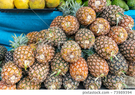 Pile of fresh pineapple for sale at Philippines fruit market Pile of fresh pineapple for sale at Philippines fruit market 73989394