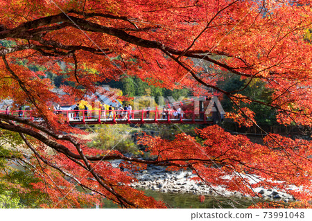 Korankei在秋天的顏色古蘭經橋Tomagawa 73991048