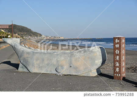 Wadaura coast and whale monuments in winter 73991288