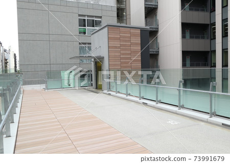 Shibuya cityscape Shibuya cityscape 73991679