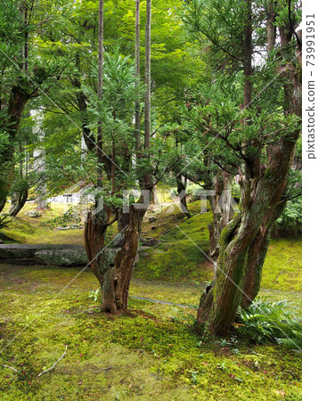 Kyoto Summer Shozan Garden 73991951