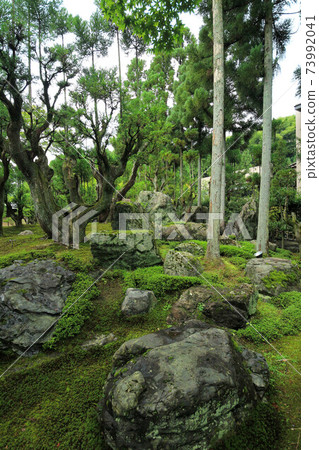 Kyoto Summer Shozan Garden 73992041