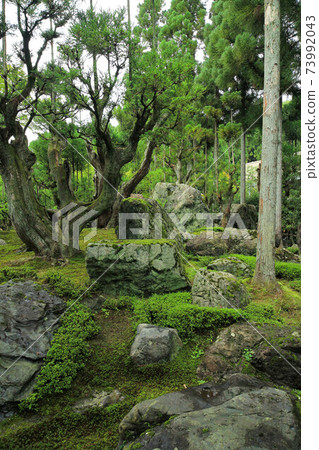Kyoto Summer Shozan Garden 73992043