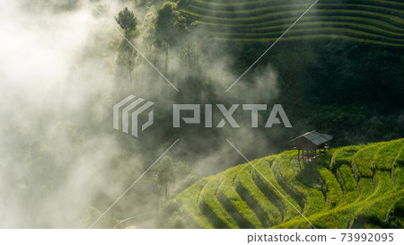 Mu Cang Chai 73992095