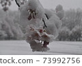 Three cool temperatures 73992756