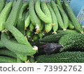 Summer vegetable 73992762