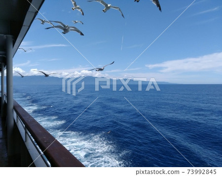 Sea and seagulls on a cruise Sea and seagulls on a cruise 73992845