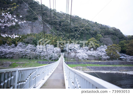 Usa City Tsujihashi Bridge Park Usa City Tsujihashi Bridge Park 73993053