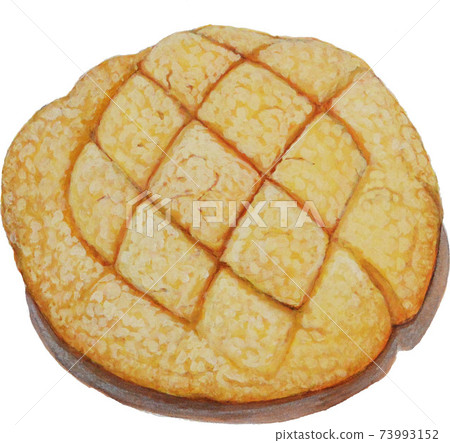 Melonpan real watercolor illustration Melonpan real watercolor illustration 73993152