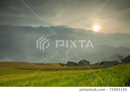 green field of rice terrace againts sky 73993156