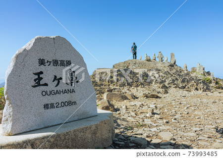 Ogahana石碑和石佛像[夏季Utsukushigahara高原] 73993485