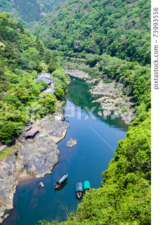 新鮮的綠色嵐山 73993556