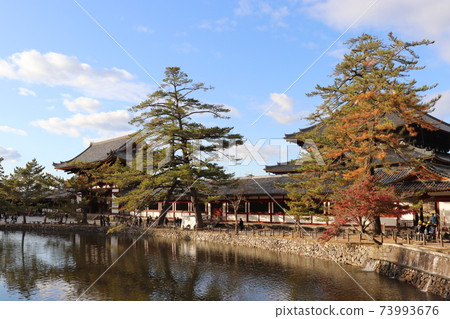 Todaiji Temple of Autumn Leaves World Heritage National Treasure Nara City Nara Prefecture Todaiji Temple of Autumn Leaves World Heritage National Treasure Nara City Nara Prefecture 73993676