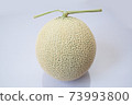 皇冠瓜 73993800