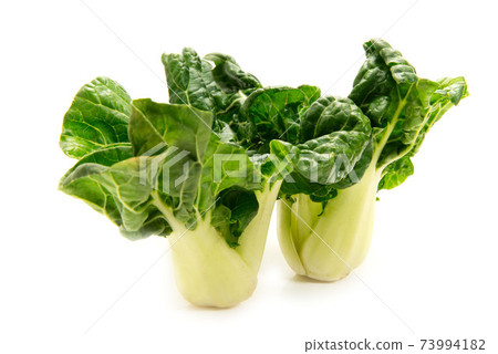 迷你廣東大白菜 73994182