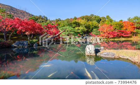 Tenryu寺在秋天 73994476