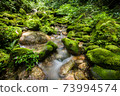 waterfall in forest in rain season 73994574