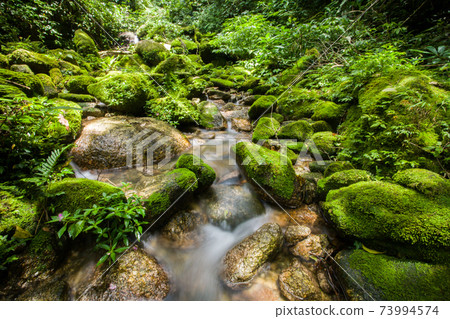 waterfall in forest in rain season 73994574