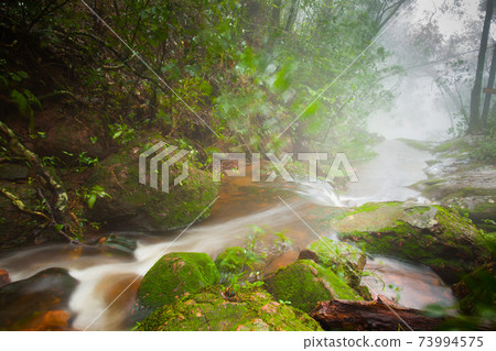 waterfall in forest in rain season 73994575