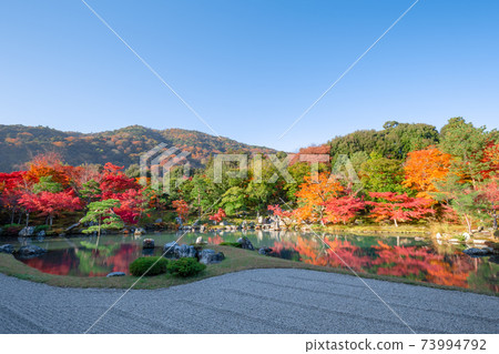 Tenryu寺在秋天 Tenryu寺在秋天 73994792