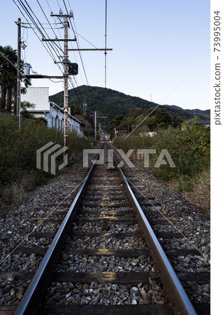 Railroad tracks running in the countryside 73995004