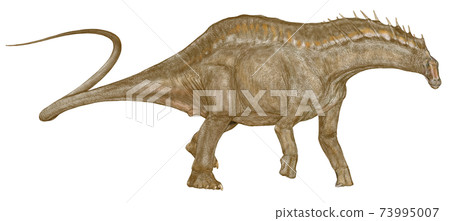 mar龍在白堊紀早期居住在阿根廷的一種奇怪的帆的蜥腳類動物。蜥腳類動物。 mar龍在白堊紀早期居住在阿根廷的一種奇怪的帆的蜥腳類動物。蜥腳類動物。 73995007