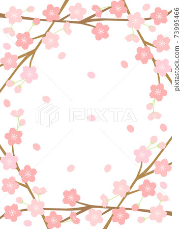 Sakura 141 Sakura 73995466