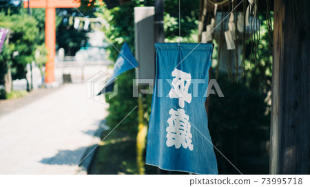 夏日圖片 夏日圖片 73995718