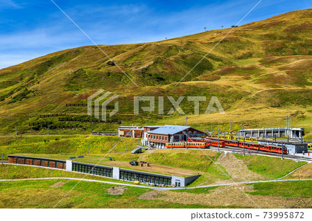 Electric red tourist trains in the station,Bernese Oberland,Switzerland Electric red tourist trains in the station,Bernese Oberland,Switzerland 73995872